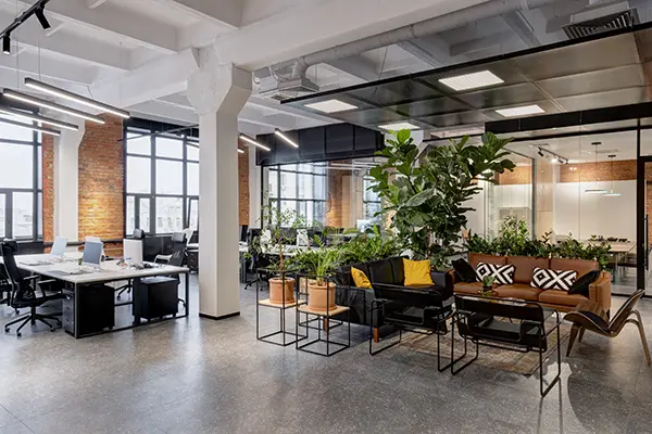 Modern office with desks, plants, and nice chairs
